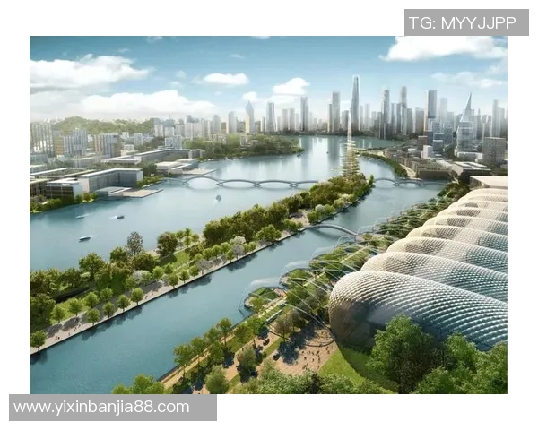 湾区速评丨赛场之外，体育赛事何以燃动大湾区